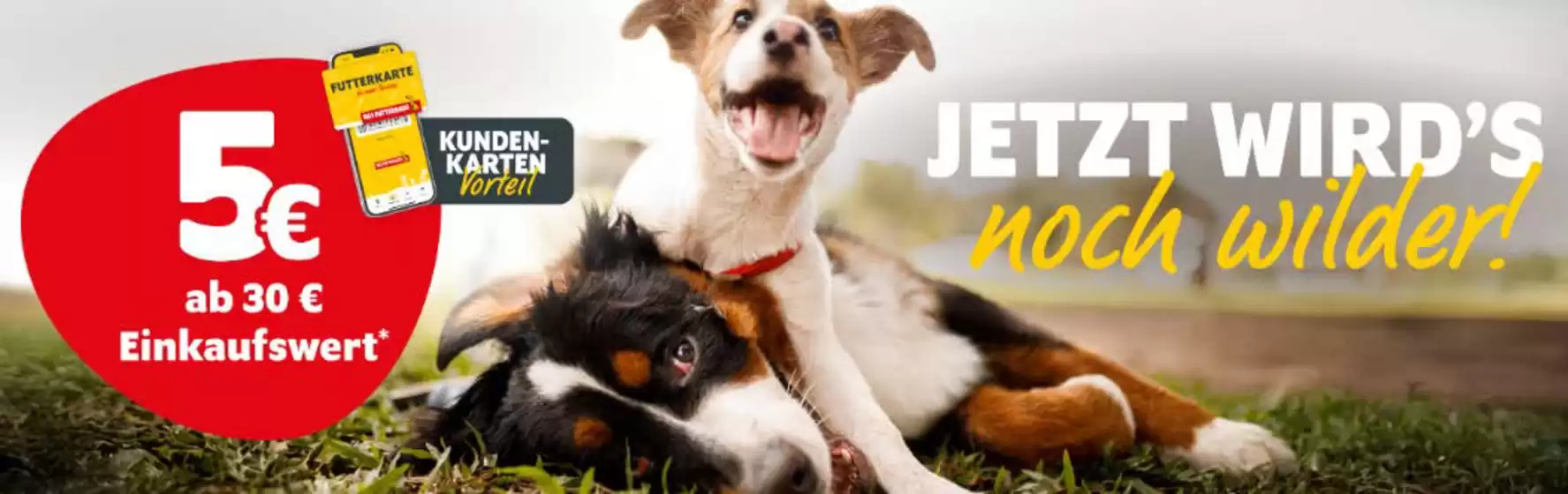 Das Futterhaus Katalog in Münster | Jtezt Wird's | 2026-03-12T00:00:00.000Z - 2026-03-15T00:00:00.000Z