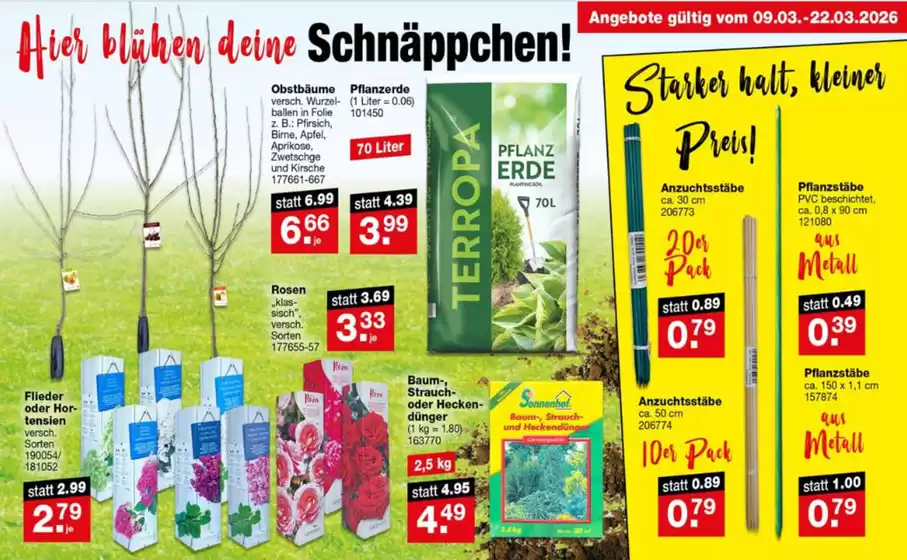 RL-Fundgrube Katalog in Preetz (Plön) | Hier Bluhen Deine | 2026-03-13T00:00:00.000Z - 2026-03-22T00:00:00.000Z