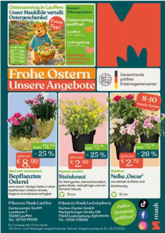 Pflanzen Mauk Katalog in Remagen | 20% Rabatt Auf Pflanz Kartofflen | 2026-04-02T00:00:00.000Z - 2026-04-12T00:00:00.000Z