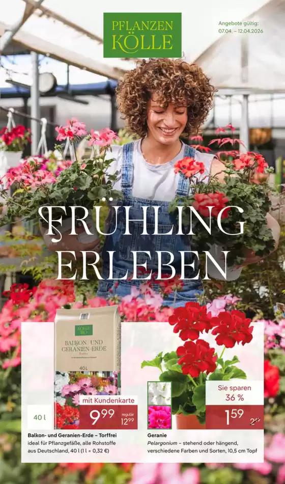 Pflanzen Kölle Katalog in Metelen | Fruhling Erleben | 2026-04-08T00:00:00.000Z - 2026-04-12T00:00:00.000Z