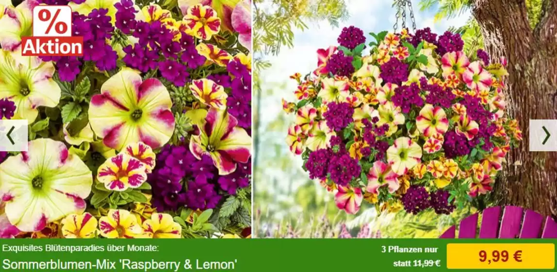 Baldur Garten Katalog in Rohrbach (Pfaffenhofen) | Hit 2026! | 2026-04-15T00:00:00.000Z - 2026-04-30T00:00:00.000Z