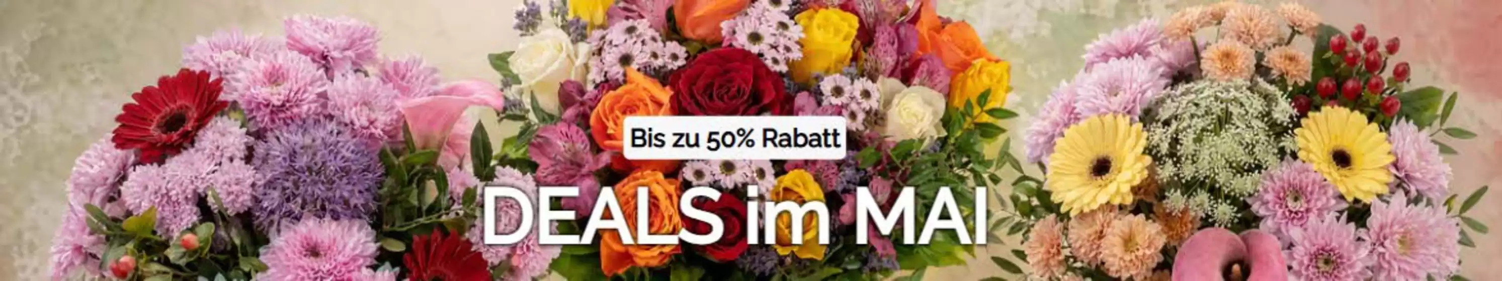 Blume Ideal Katalog in Schwerte (Hansestadt an der Ruhr) | Bis Zu 50% Deals Im Mai | 2026-05-20T00:00:00.000Z - 2026-05-30T00:00:00.000Z