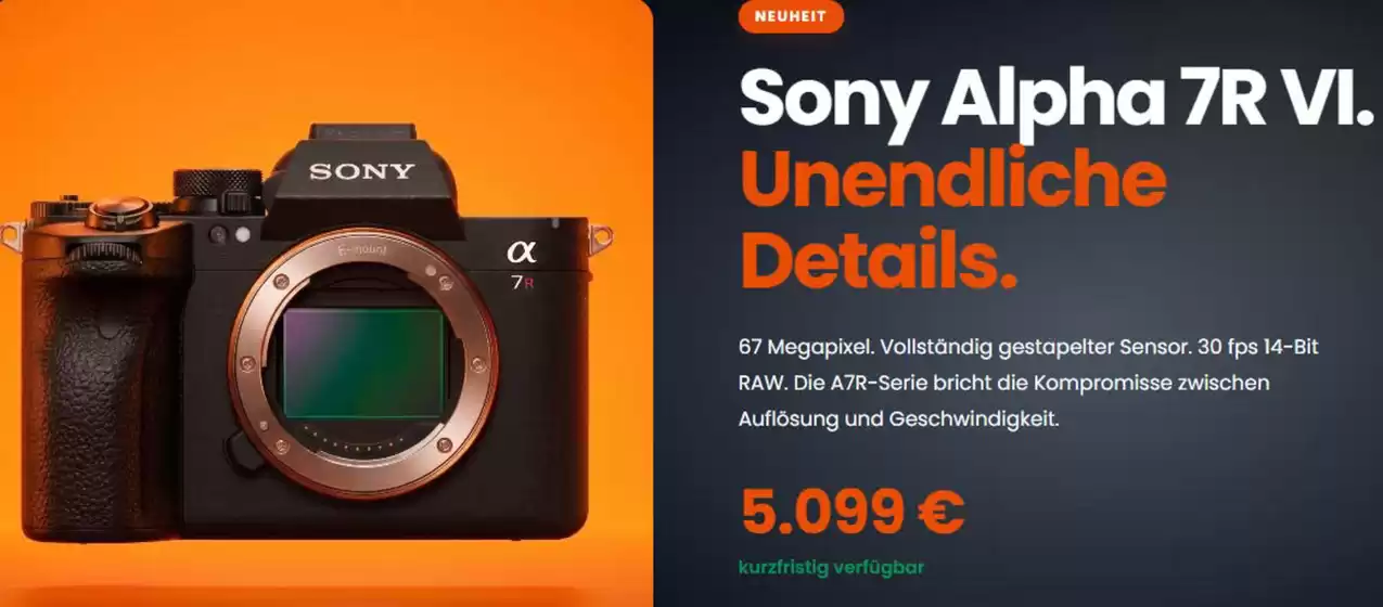 Foto Hamer Katalog | Sony Alpha 7R VI. | 2026-06-01T00:00:00.000Z - 2026-06-30T00:00:00.000Z