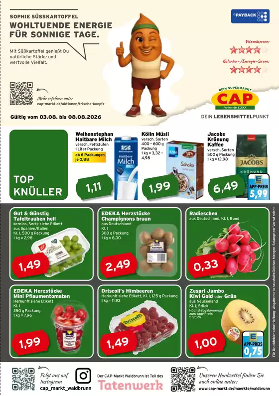CAP Markt Katalog | Große Auswahl an Angeboten | 2026-08-03T00:00:00.000Z - 2026-08-08T00:00:00.000Z