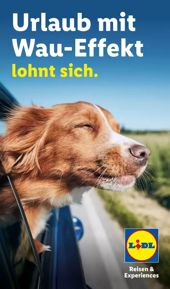 Lidl Katalog | Urlaub mit Hund | 2026-07-30T00:00:00.000Z - 2026-12-31T00:00:00.000Z