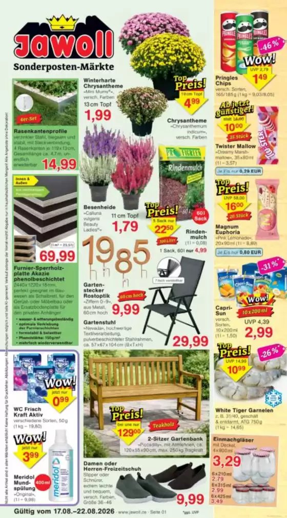 main_flyer image