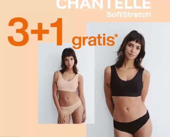 Herzog & Bräuer Prospekt | 3+1 Gratis | 2026-08-26T00:00:00.000Z - 2026-09-13T00:00:00.000Z