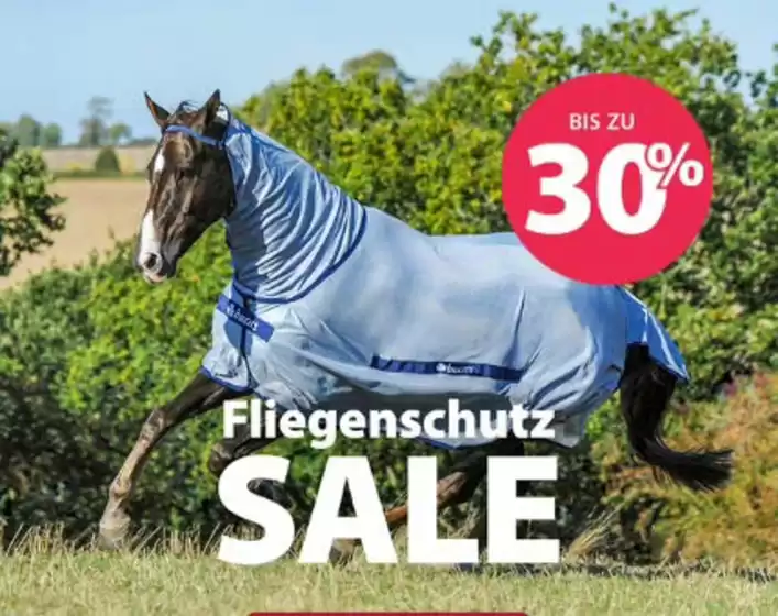 Equiva Prospekt in Jüterbog | Fliegenschutz Sale | 2026-08-26T00:00:00.000Z - 2026-09-15T00:00:00.000Z
