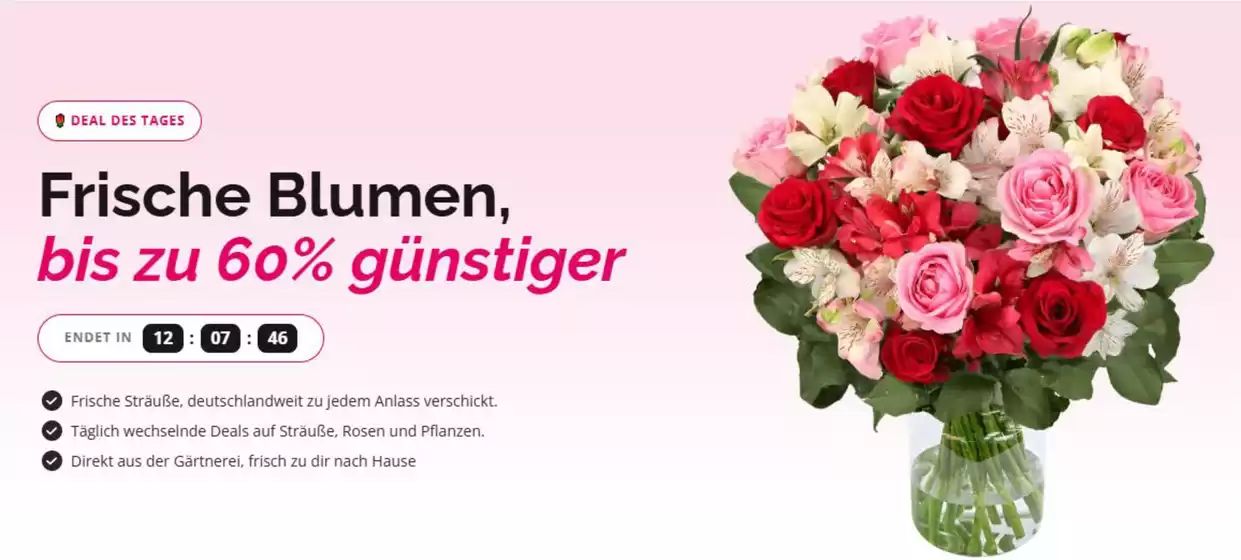 Blume Ideal Katalog | Frische Blaumen Bis Zu 60% Gunstiger | 2026-09-03T00:00:00.000Z - 2026-09-04T00:00:00.000Z