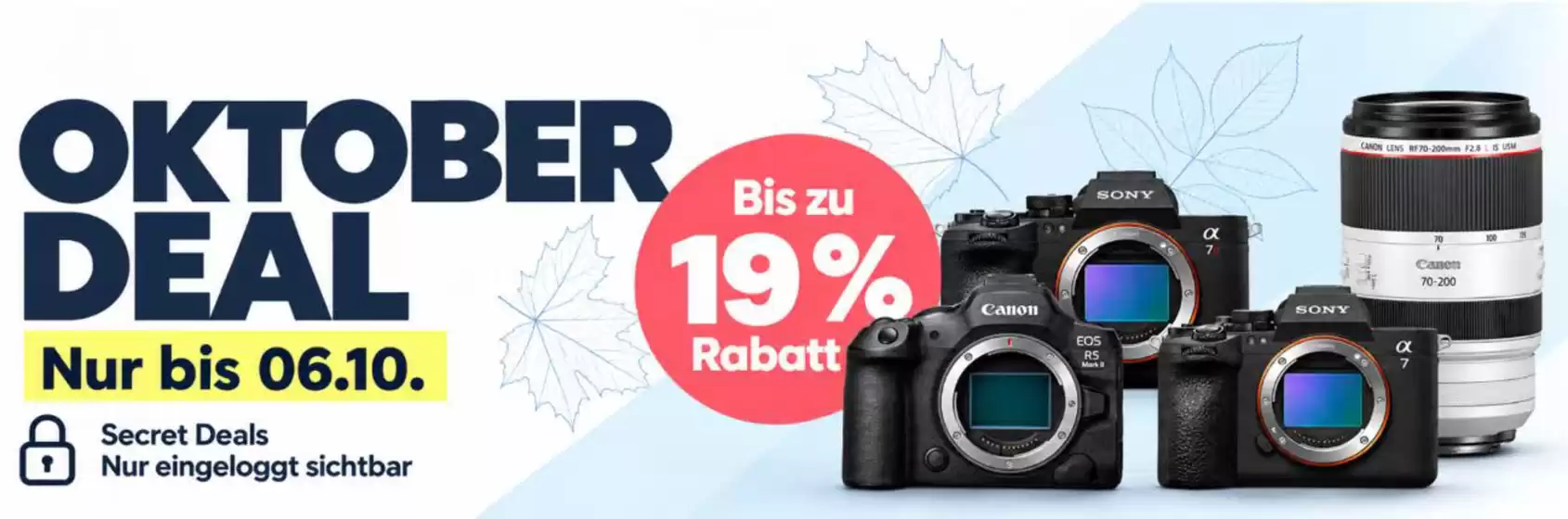 Foto Hamer Prospekt in Sinzheim | Oktober Deal | 2026-10-06T00:00:00.000Z - 2026-10-06T00:00:00.000Z