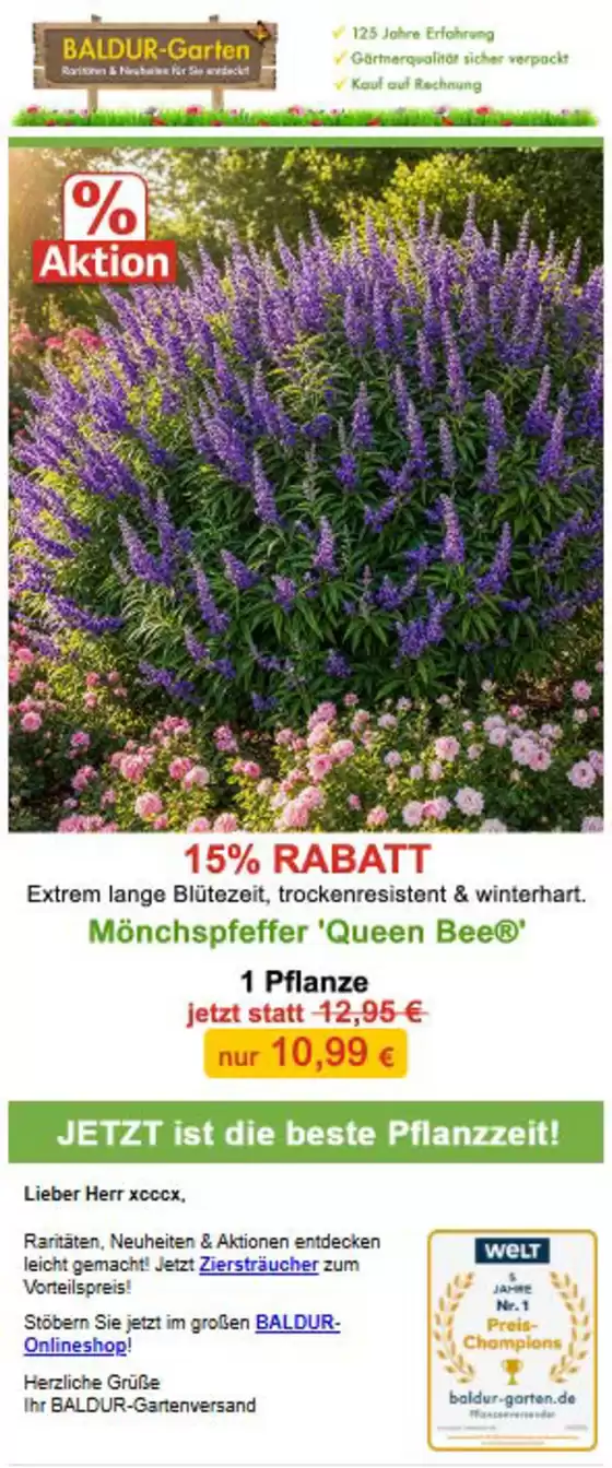 Baldur Garten Katalog | 15% Rabatt!! | 2026-10-12T00:00:00.000Z - 2026-10-14T00:00:00.000Z