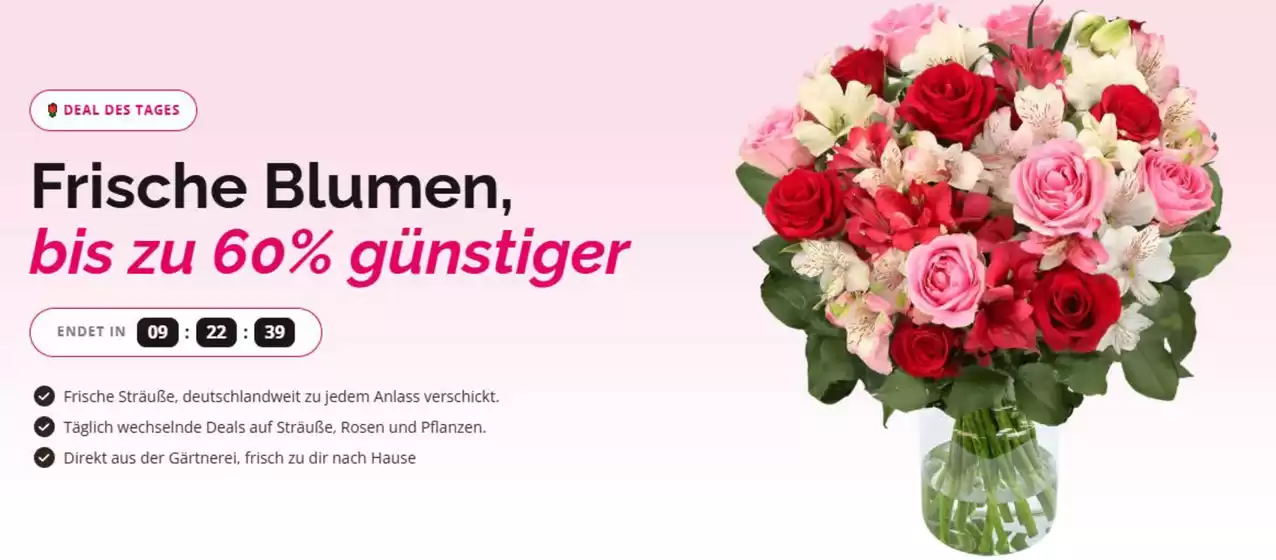 Blume Ideal Katalog in Wülfrath | Frische Blumen, Bis Zu 60% Gunstiger | 2026-10-13T00:00:00.000Z - 2026-10-14T00:00:00.000Z