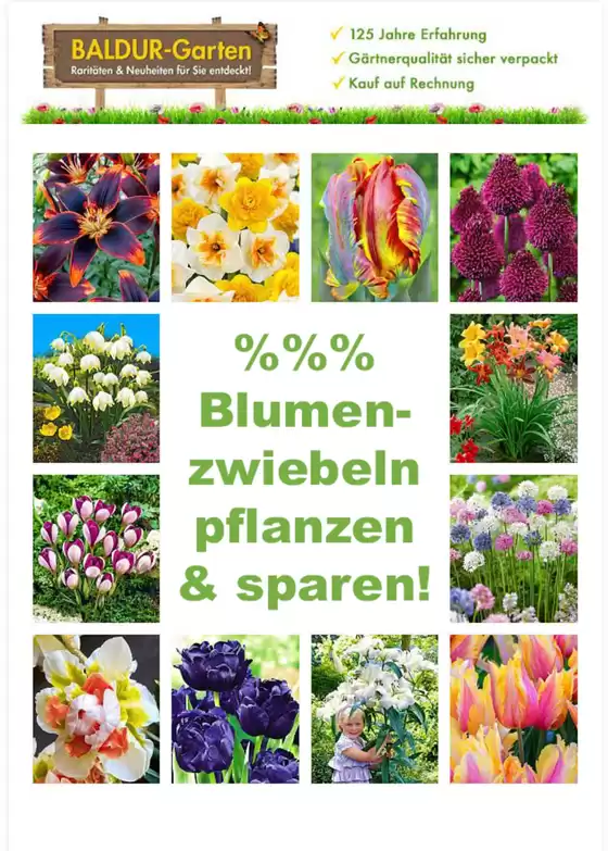 Baldur Garten Prospekt in Brunnthal | %%% Blumen Zwiebeln Pflanzen & Sparen | 2026-10-19T00:00:00.000Z - 2026-10-21T00:00:00.000Z