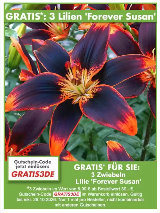 Baldur Garten Katalog in Welzheim | Gratis: 3 Lilien Forever Susan | 2026-10-23T00:00:00.000Z - 2026-10-31T00:00:00.000Z