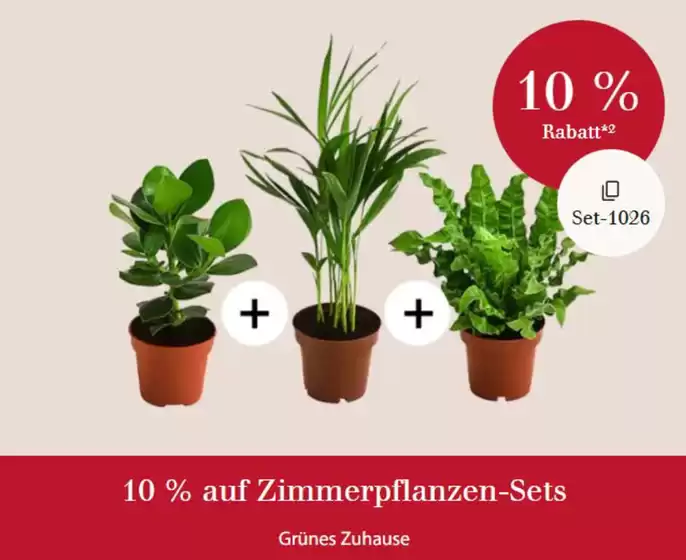 Dehner Katalog | 10% Rabatt!!! | 2026-10-23T00:00:00.000Z - 2026-11-07T00:00:00.000Z