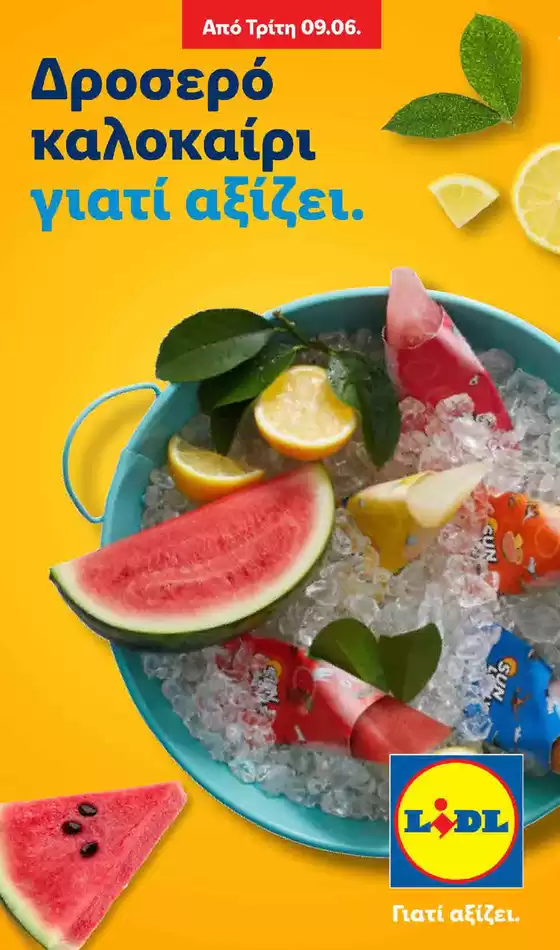 Κατάλογος Lidl | Summer Booklet | 2026-06-09T00:00:00.000Z - 2026-09-30T00:00:00.000Z
