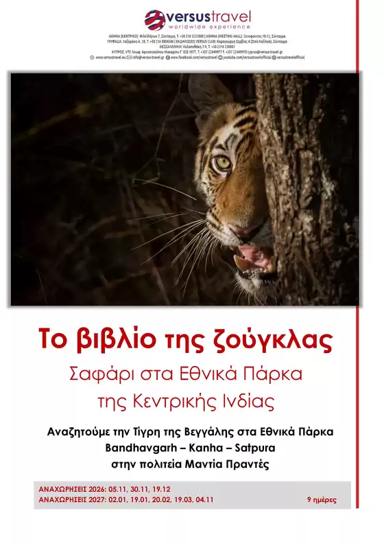 Κατάλογος Versus Travel | Νέες προσφορές για ανακάλυψη | 2026-11-05T00:00:00.000Z - 2027-11-04T00:00:00.000Z