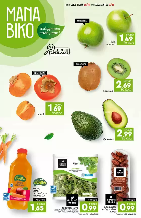 main_flyer image