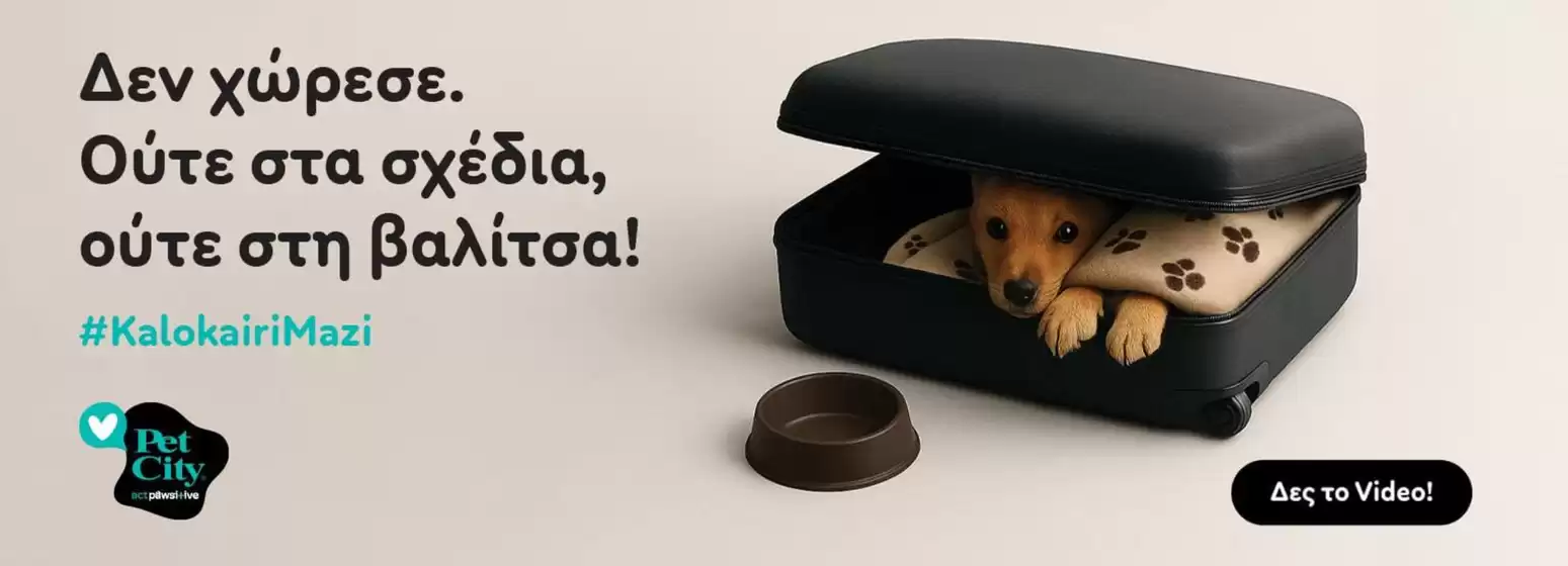 Υπέροχη προσφορά για κυνηγούς ευκαιριών