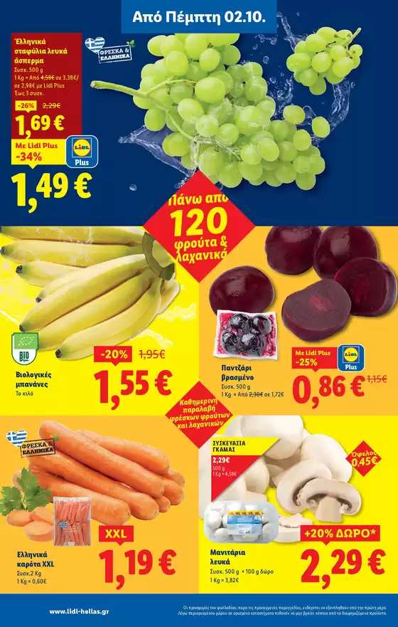 Φυλλάδιο Lidl - Food & Nonfood