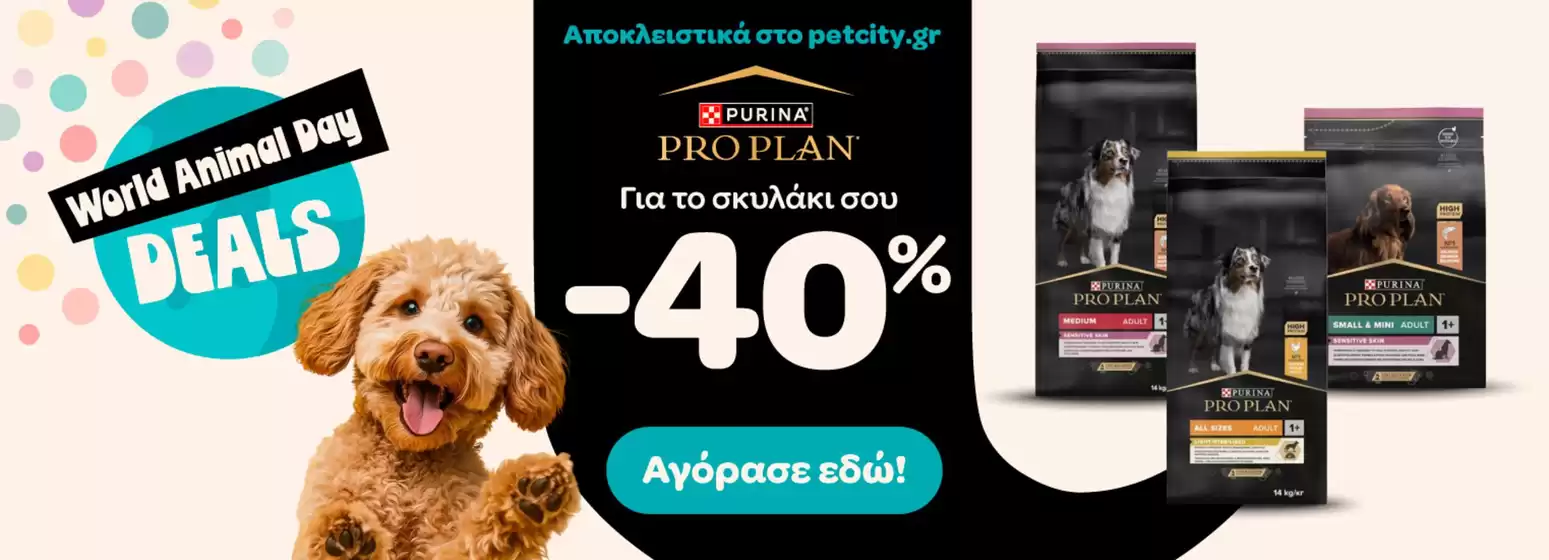 Pet City προσφορές