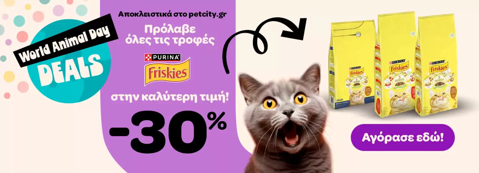 Pet City προσφορές