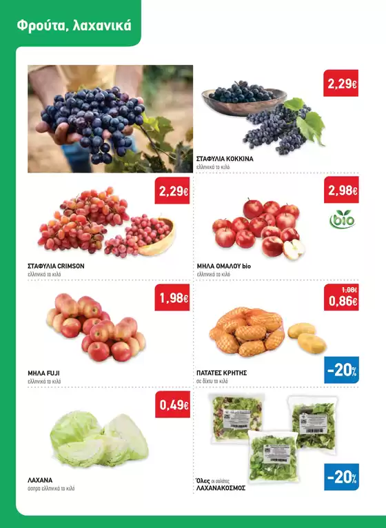 Synka προσφορές