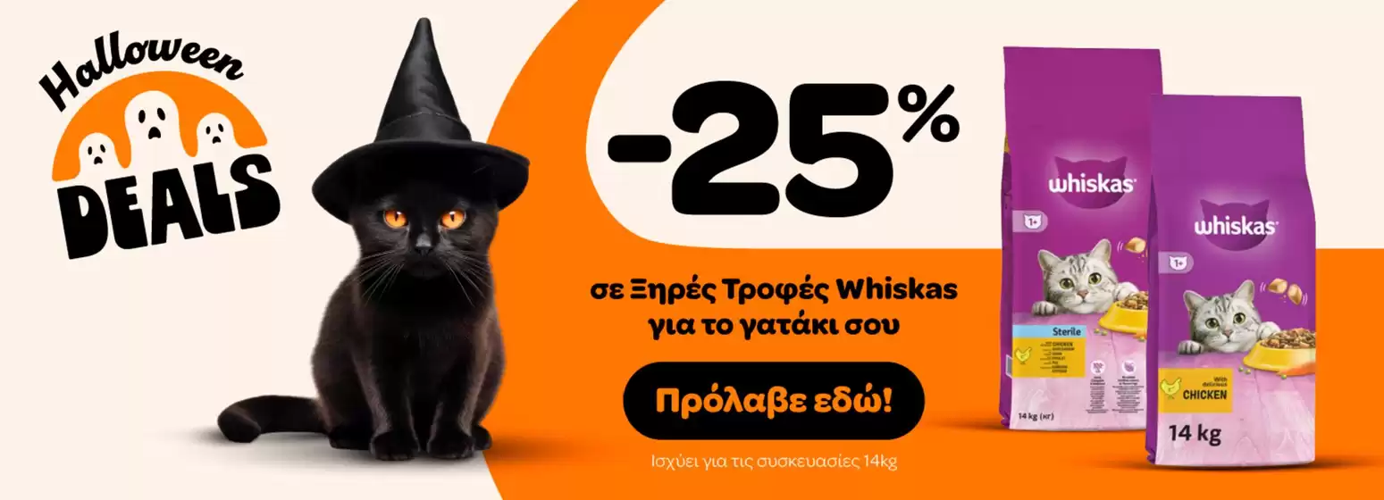 Pet City προσφορές