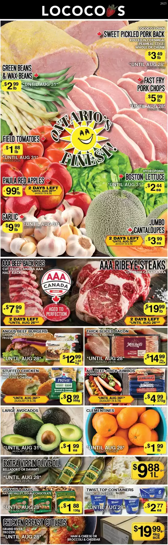 Lococos catalogue in Sainte-Thérèse | Wide range of offers | 2025-09-09T00:00:00.000Z - 2025-09-23T00:00:00.000Z