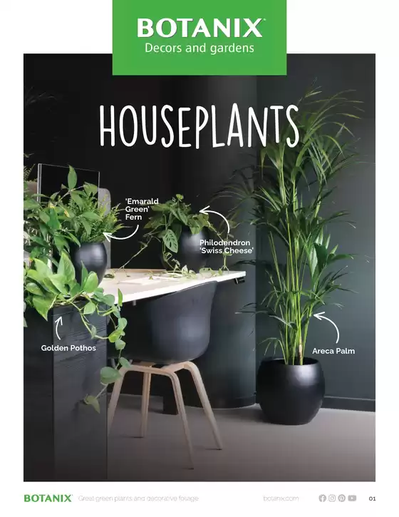 Botanix catalogue in Birtle | Houseplants | 2025-09-10T00:00:00.000Z - 2025-09-24T00:00:00.000Z