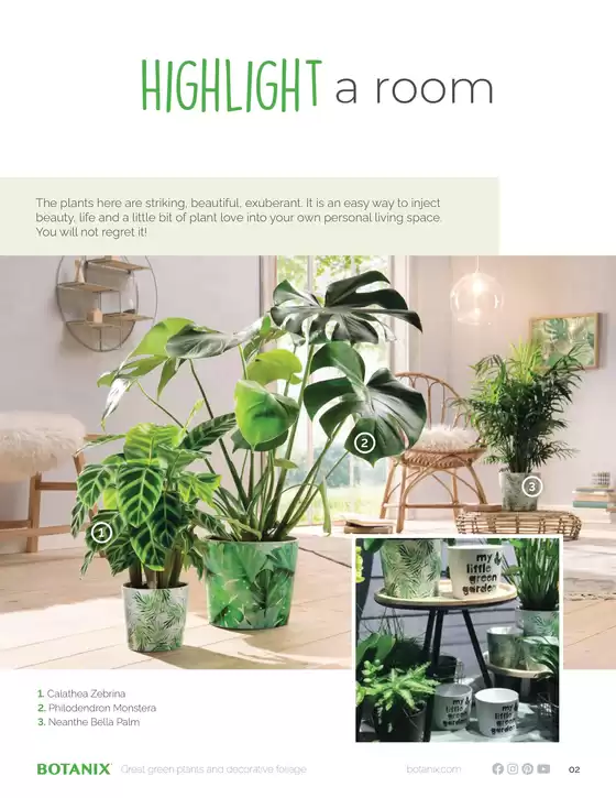 Houseplants