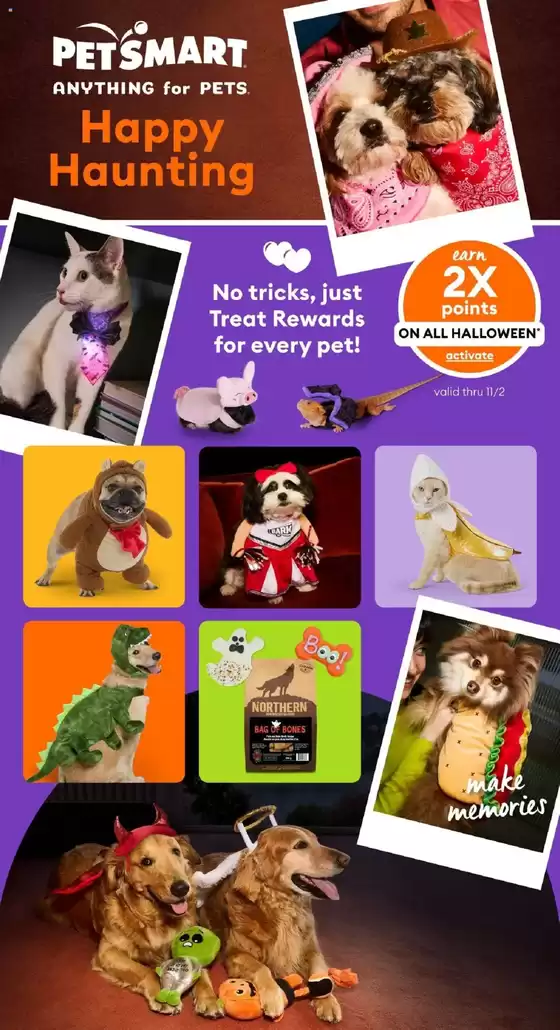 Attractive special offers for everyone