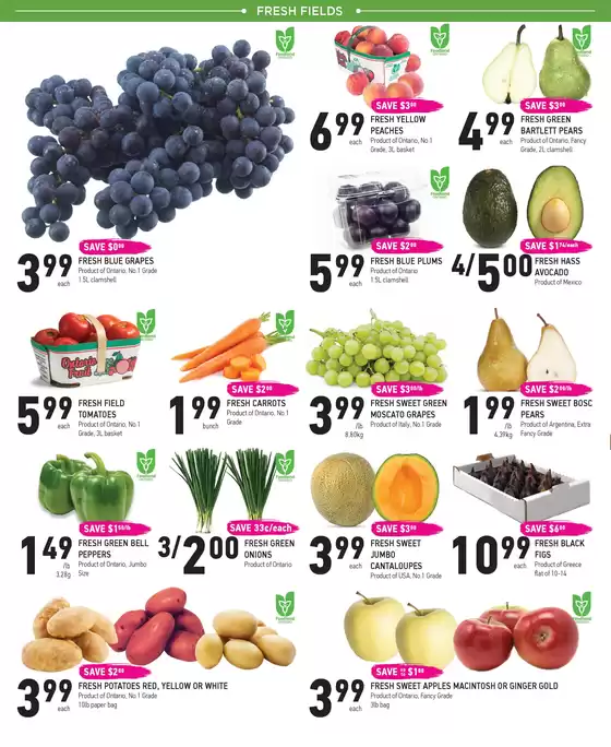 Weekly Flyer