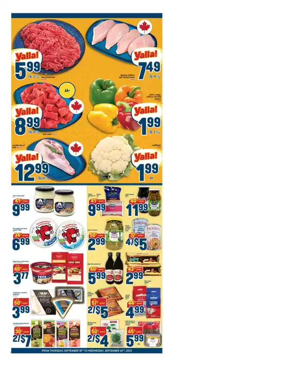 Our best offers for you