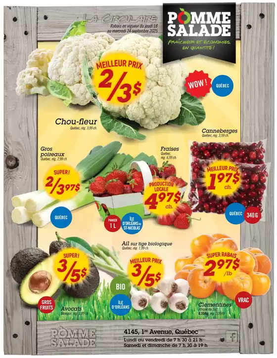 Pomme Salade catalogue | Discover attractive offers | 2025-09-18T00:00:00.000Z - 2025-09-24T00:00:00.000Z