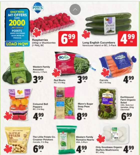 Weekly flyer 
