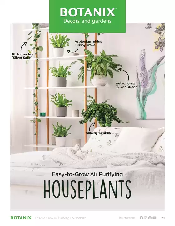 Botanix catalogue in Belleville | Easy-to-Grow Air Purifying Houseplants | 2025-09-19T00:00:00.000Z - 2025-10-03T00:00:00.000Z
