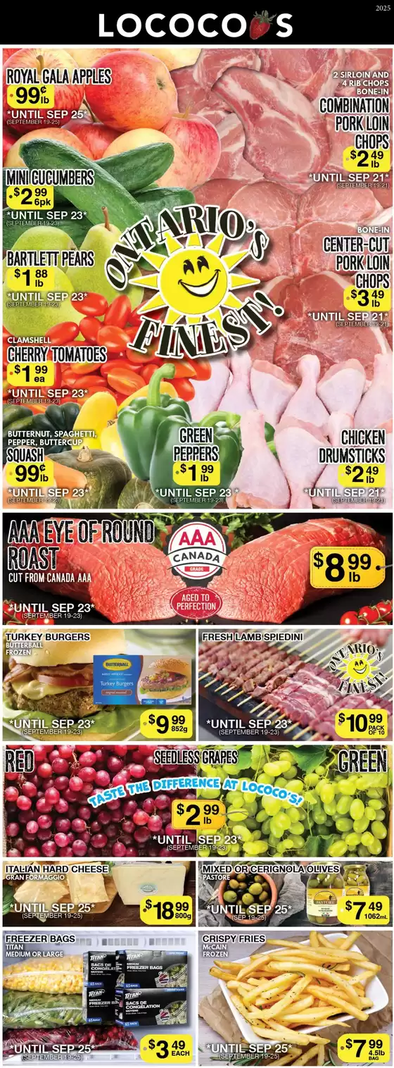 Lococos catalogue in Medicine Hat | Special offers for you | 2025-09-27T00:00:00.000Z - 2025-10-11T00:00:00.000Z