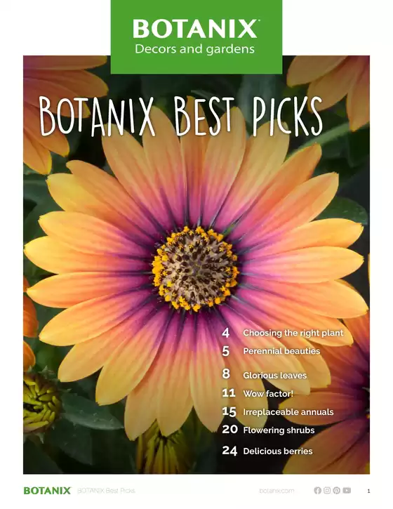 Botanix catalogue in Red Deer | Botanix Best Picks | 2025-10-01T00:00:00.000Z - 2025-10-15T00:00:00.000Z
