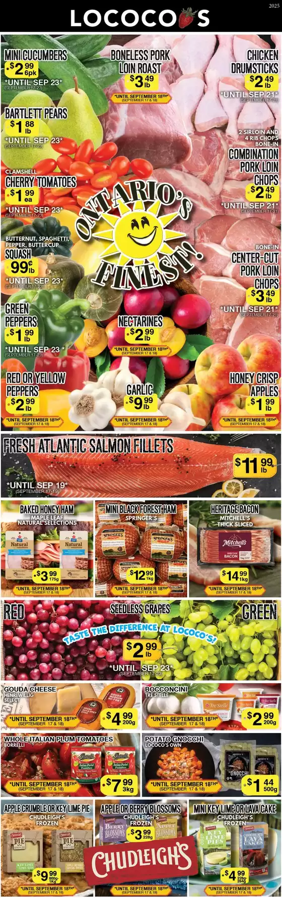 Lococos catalogue in North Battleford | Great offer for bargain hunters | 2025-10-05T00:00:00.000Z - 2025-10-19T00:00:00.000Z