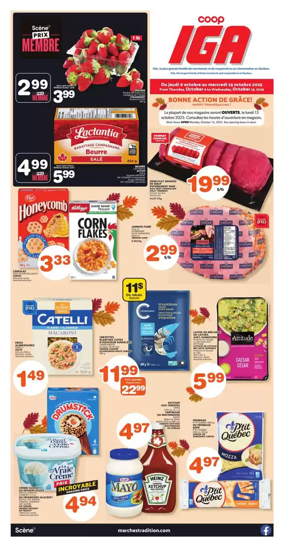 IGA catalogue in Lloydminster | Special offers for you | 2025-10-09T00:00:00.000Z - 2025-10-15T00:00:00.000Z
