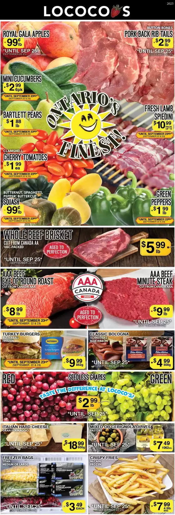 Lococos catalogue in Lloydminster | Top offers for smart savers | 2025-10-07T00:00:00.000Z - 2025-10-21T00:00:00.000Z