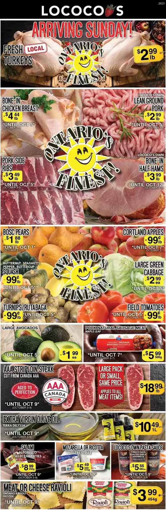 Lococos catalogue in Vaughan | Exclusive bargains | 2025-10-11T00:00:00.000Z - 2025-10-25T00:00:00.000Z