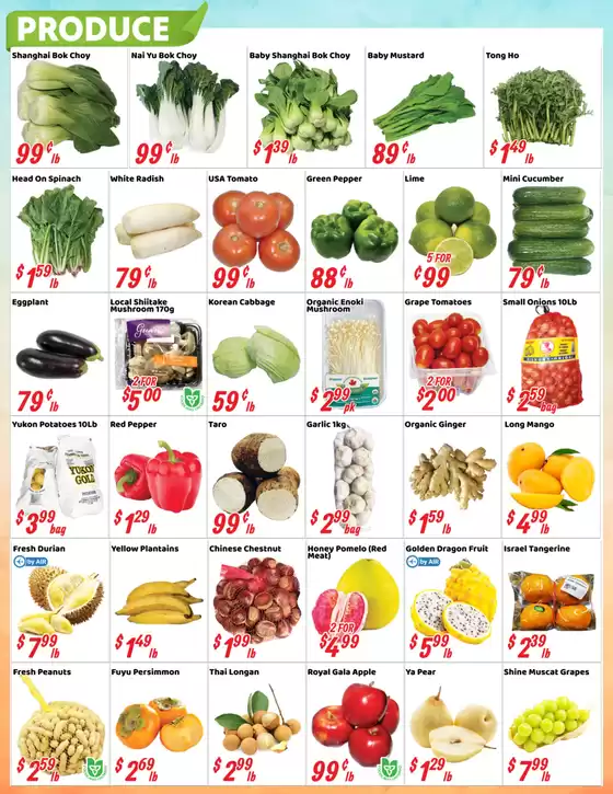 Autumn Deals, Fresh Finds!