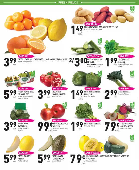 Weekly Flyer