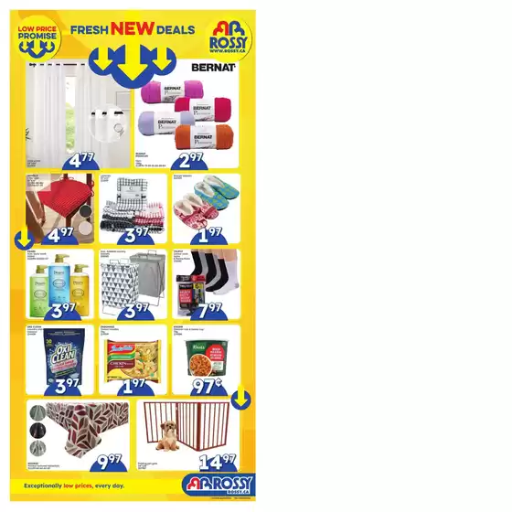 Rossy catalogue in Laval | Wide range of offers | 2025-09-25T00:00:00.000Z - 2025-10-29T00:00:00.000Z