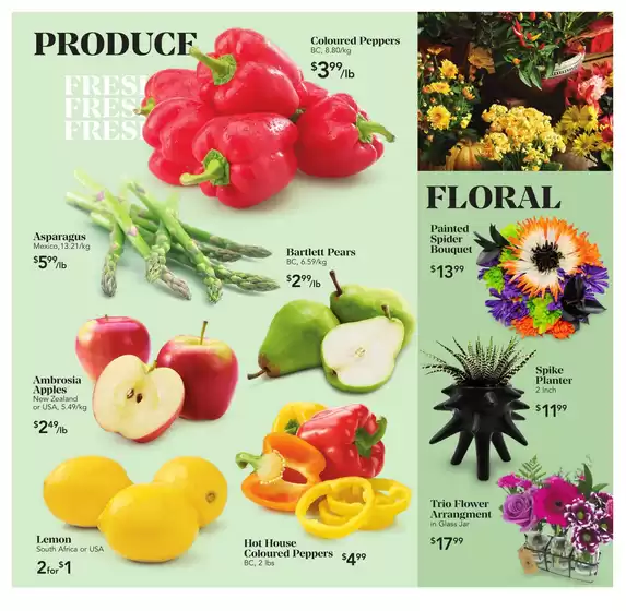 Special offers for you