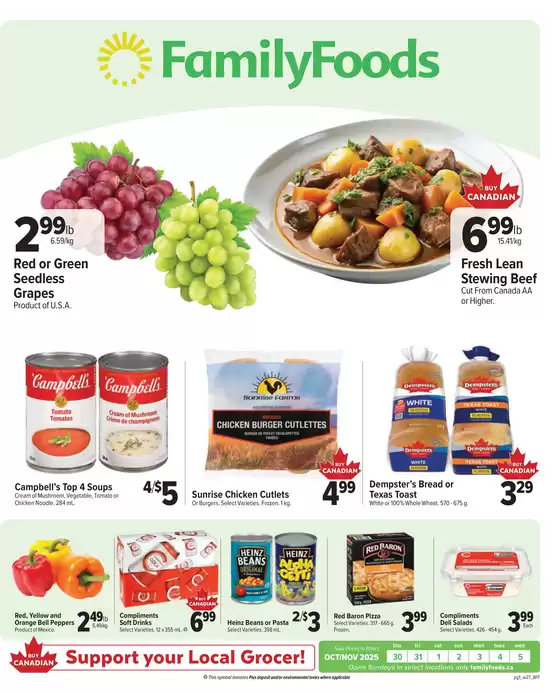 Family Foods catalogue in Mississauga | Our best deals for you | 2025-10-30T00:00:00.000Z - 2025-11-13T00:00:00.000Z