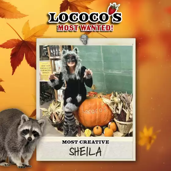 Lococos catalogue in Brantford | Top offers for smart savers | 2025-11-16T00:00:00.000Z - 2025-11-30T00:00:00.000Z