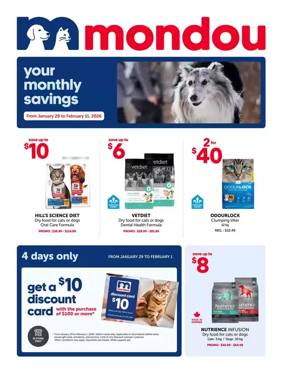 Mondou catalogue in North York | Flyer | 2026-01-29T00:00:00.000Z - 2026-02-11T00:00:00.000Z